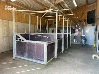 Haras de Reproduction Clé en Main sur 52 ha dans le Morbihan (5 - photo 7