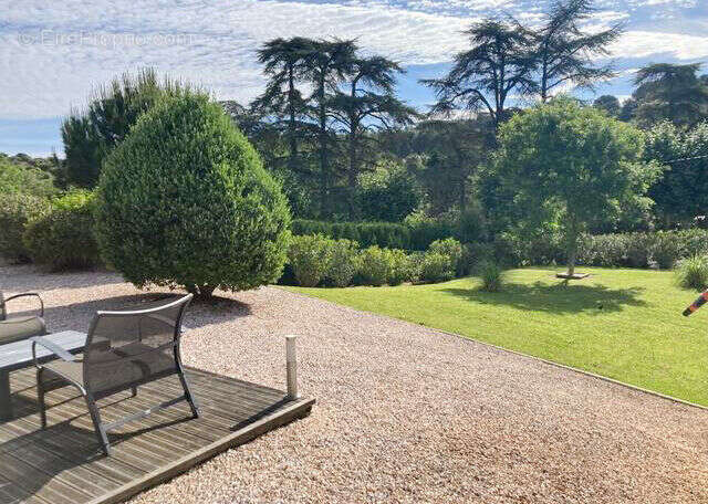jardin
