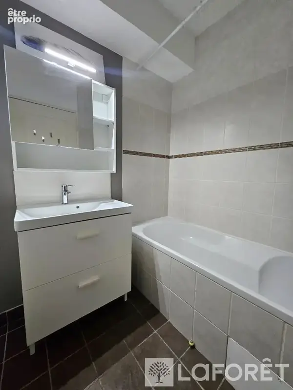 Appartement Oullins Pierre Benite 1 pièce(s) 22 m2 - photo 3