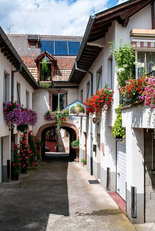 Maison à AMMERSCHWIHR