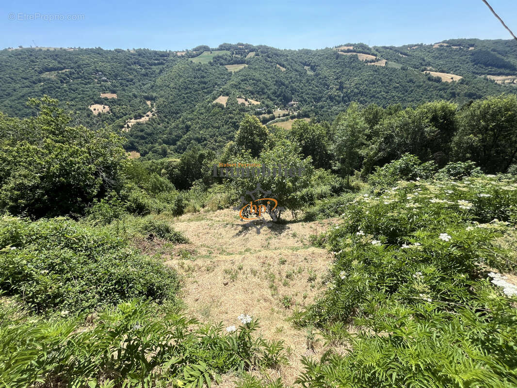 Vente Ayssènes, Vallée du Tarn, Propriété sur 2 hectares 9558 m2. - photo 28