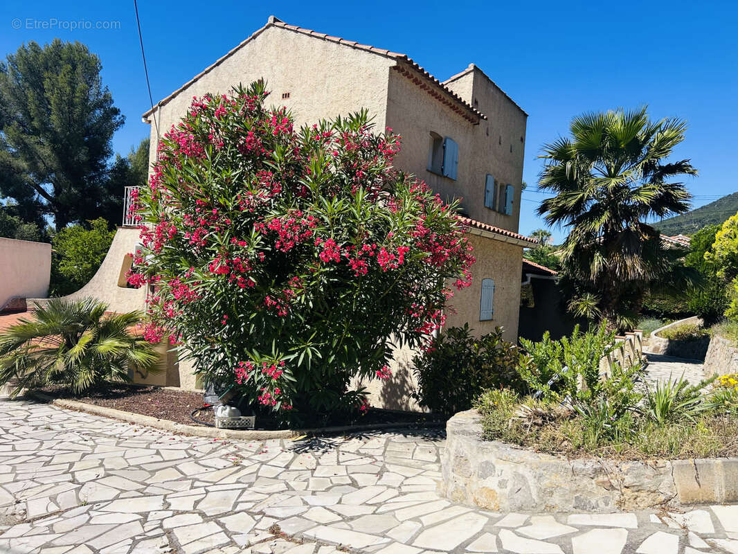 Maison à LA VALETTE-DU-VAR