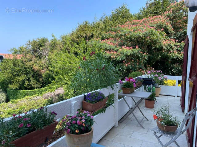 Appartement à SAINT-JEAN-DE-LUZ