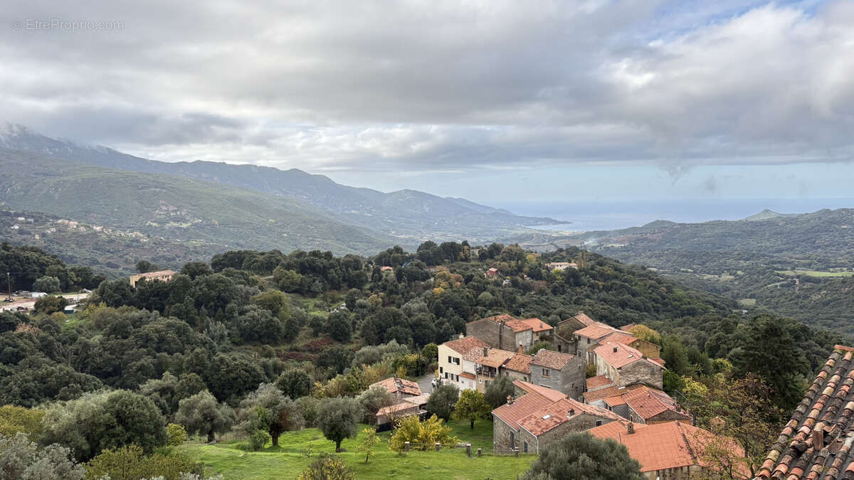 Appartement à SARI-D'ORCINO