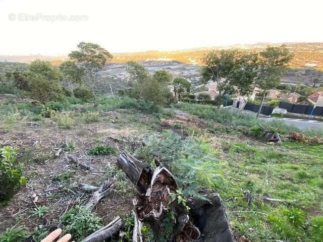 Terrain à MANDELIEU-LA-NAPOULE