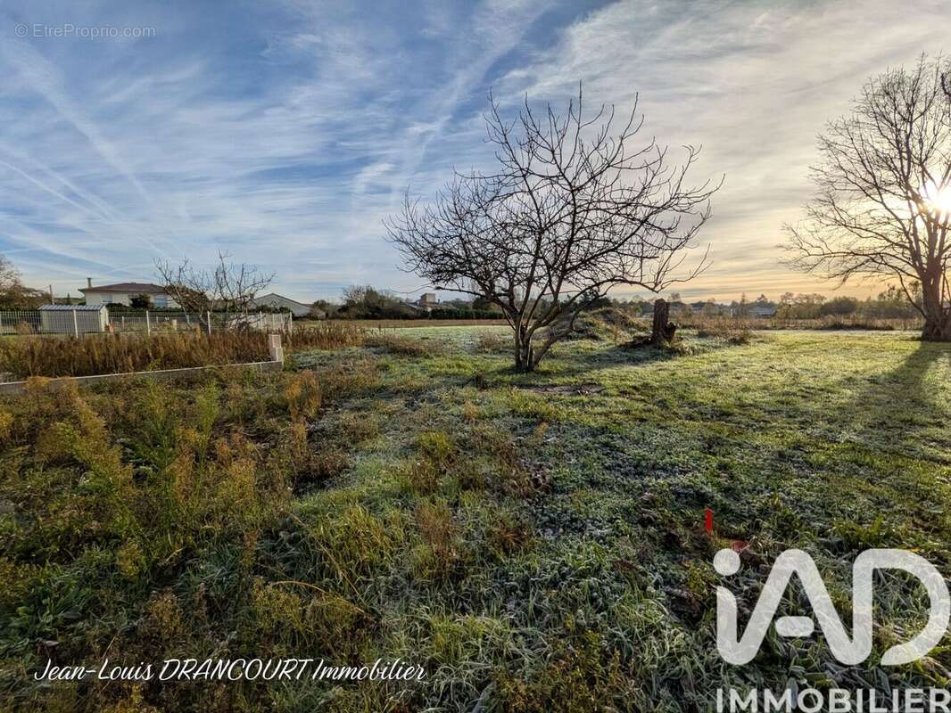 Photo 2 - Terrain à AUTERIVE