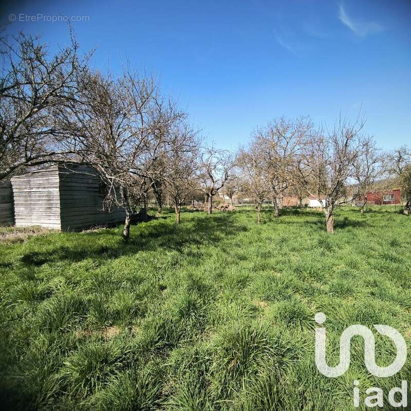 Photo 2 - Maison à HOUDELAINCOURT