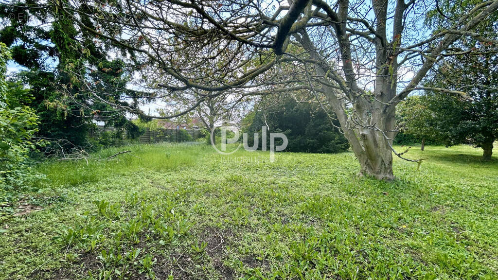 Terrain à OSTRICOURT