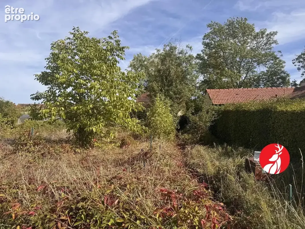 Maison 1 pièce 32 m² à vendre à Arbonne-La-Foret (77630) - photo 5