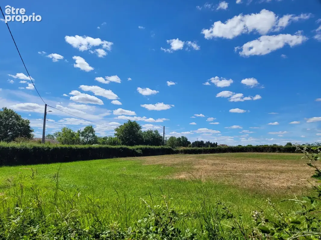 Terrain plat constructible de 3 500 m² à Chantelle - photo 5