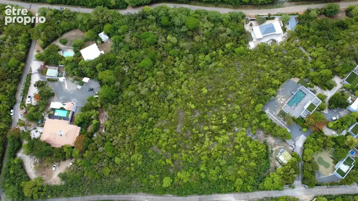 Terrain 10 000 m2  terres basses, saint-martin - photo 2