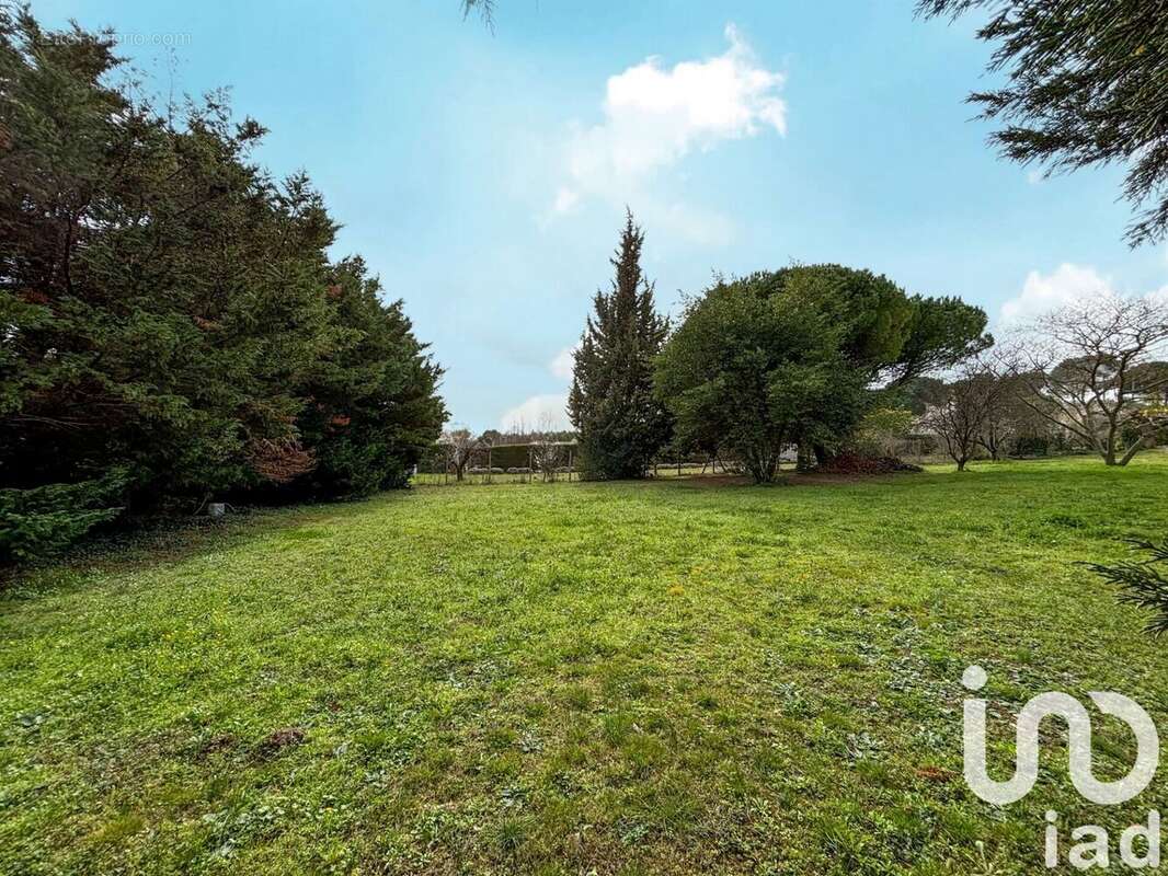 Photo 2 - Terrain à CARCASSONNE