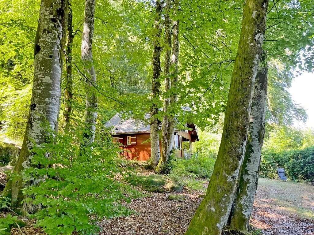 Exclusivité/Bourgogne, Parc du Morvan, Secteur GOULOUX, chalet 49 m² environ sur plus de 3000 m² de terrain boisé. - photo 6