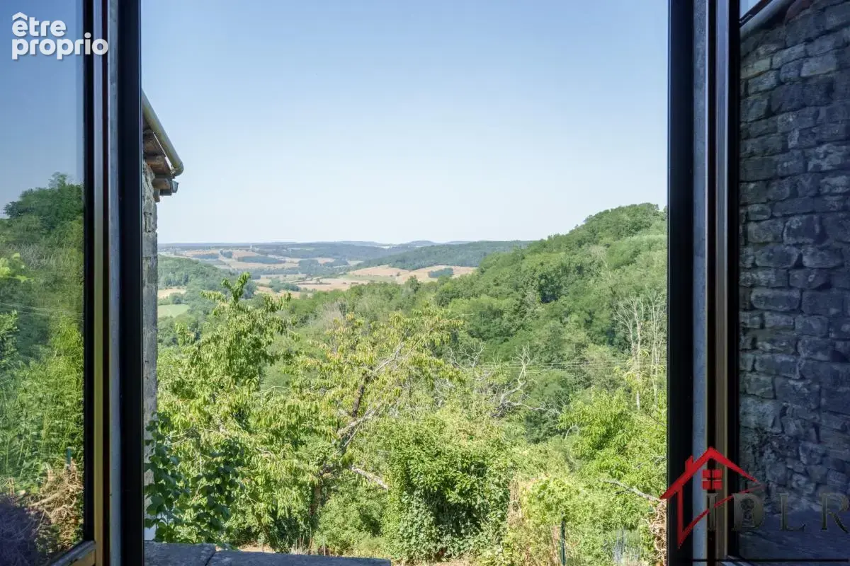 RARE   Maison de Village avec Vue et Potentiel à Coiffy-le- - photo 4