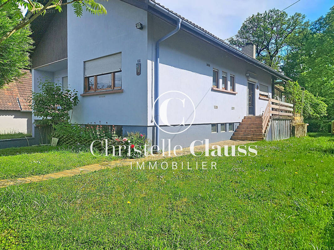 Maison à BETSCHDORF