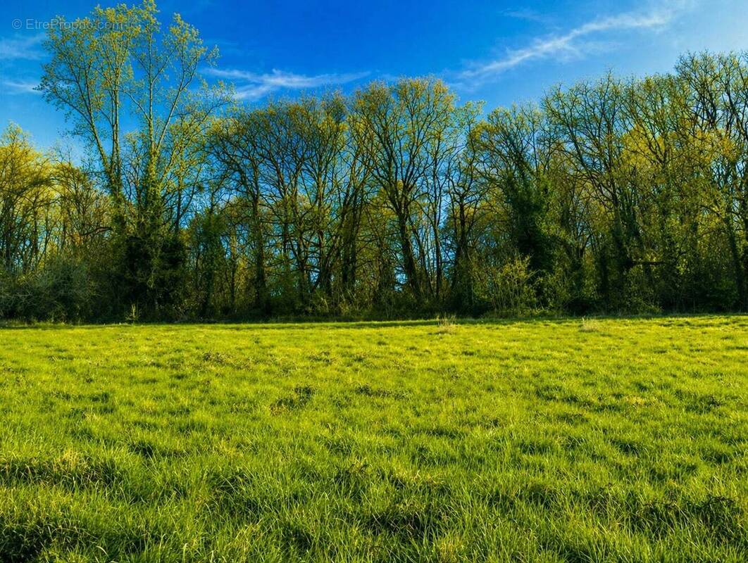 Terrain à TRELISSAC
