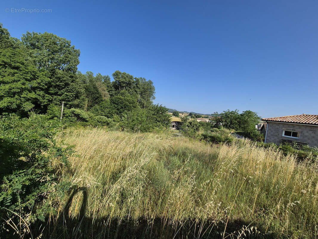 Terrain constructible de 543 m2 - photo 3
