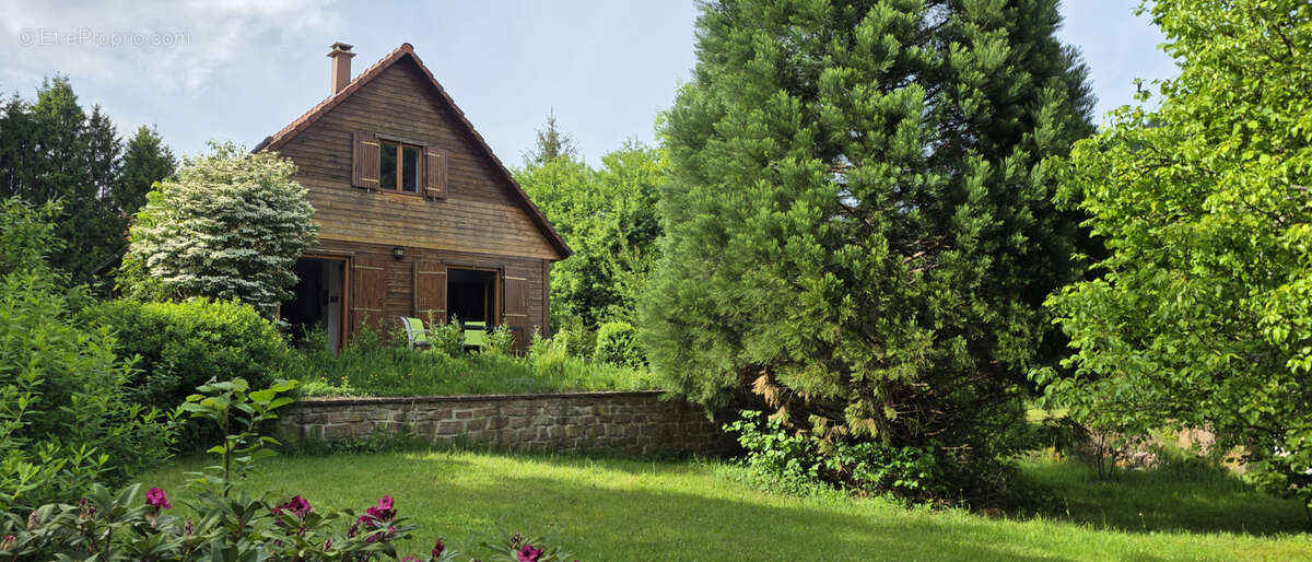 Plaine, chalet cosy au calme, en lisière de forêt, coup de coeur absolu ! - photo 22