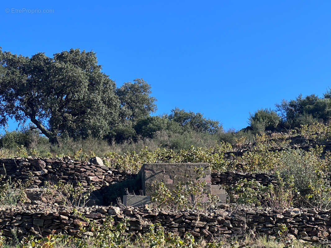 Terrain à COLLIOURE