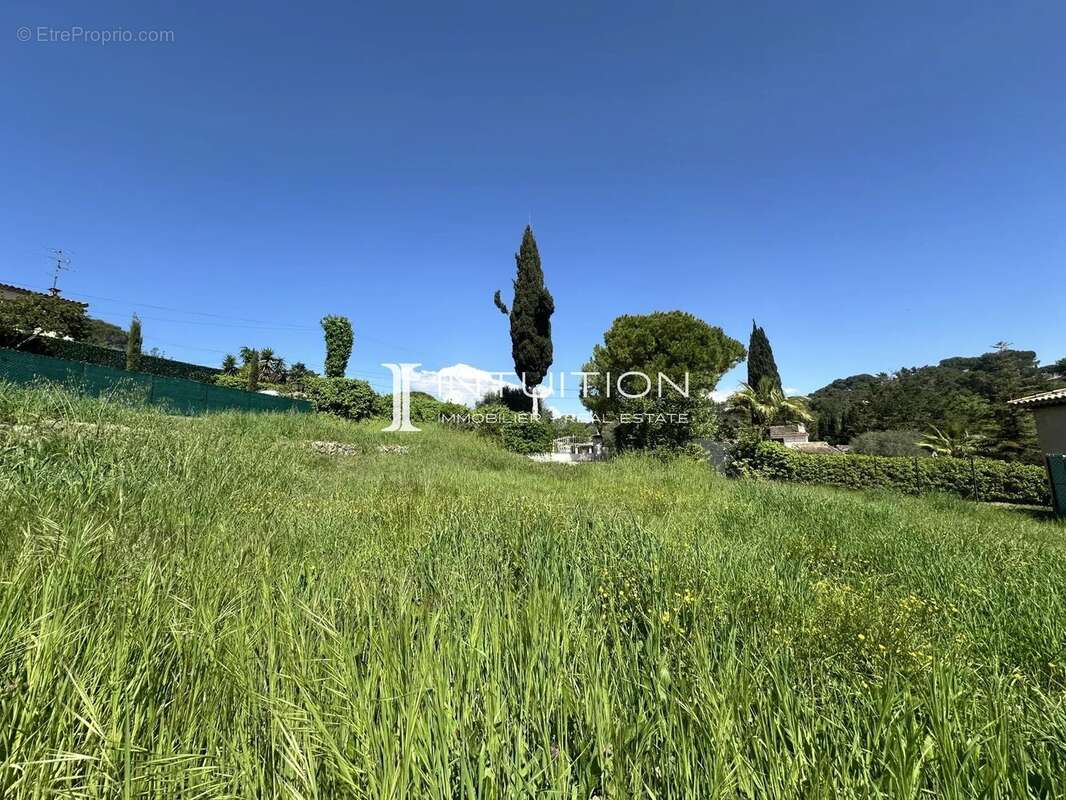 Terrain à MOUGINS