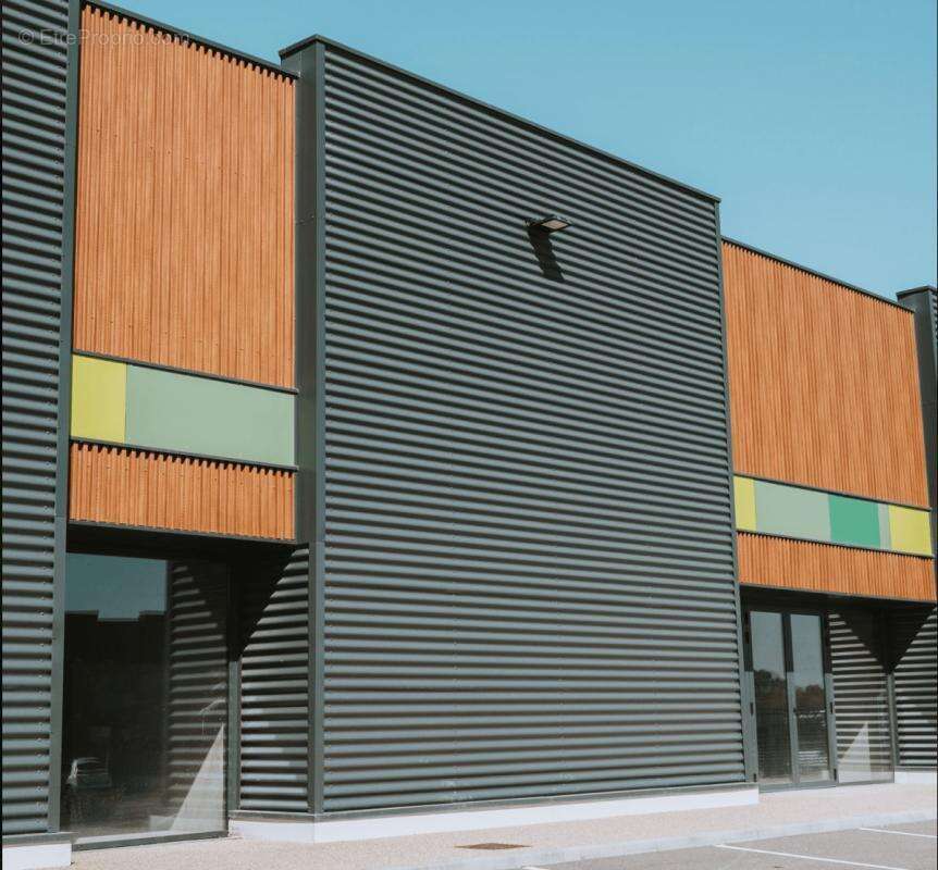 Retail Park de Viadorée - Anse - 1024m² - photo 3