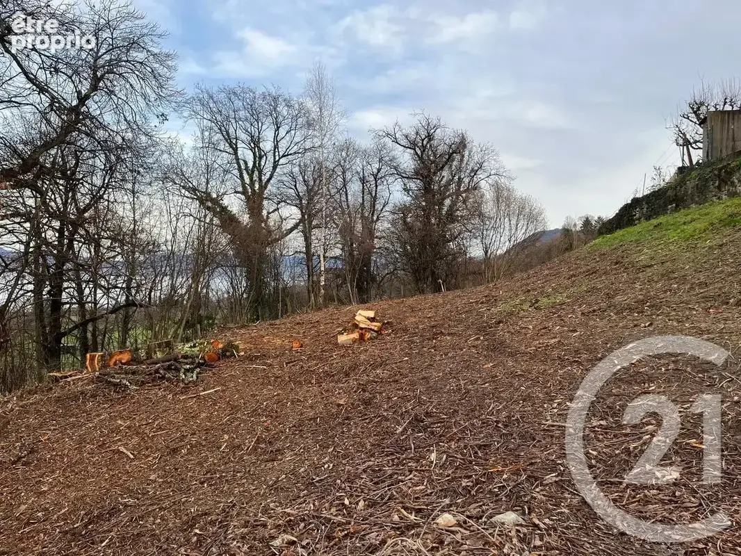 Terrain 1 458 m² à vendre à Maxilly-Sur-Leman (74500) - photo 2