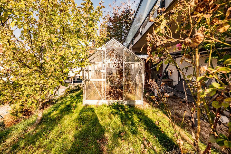 Maison à MONTPERREUX