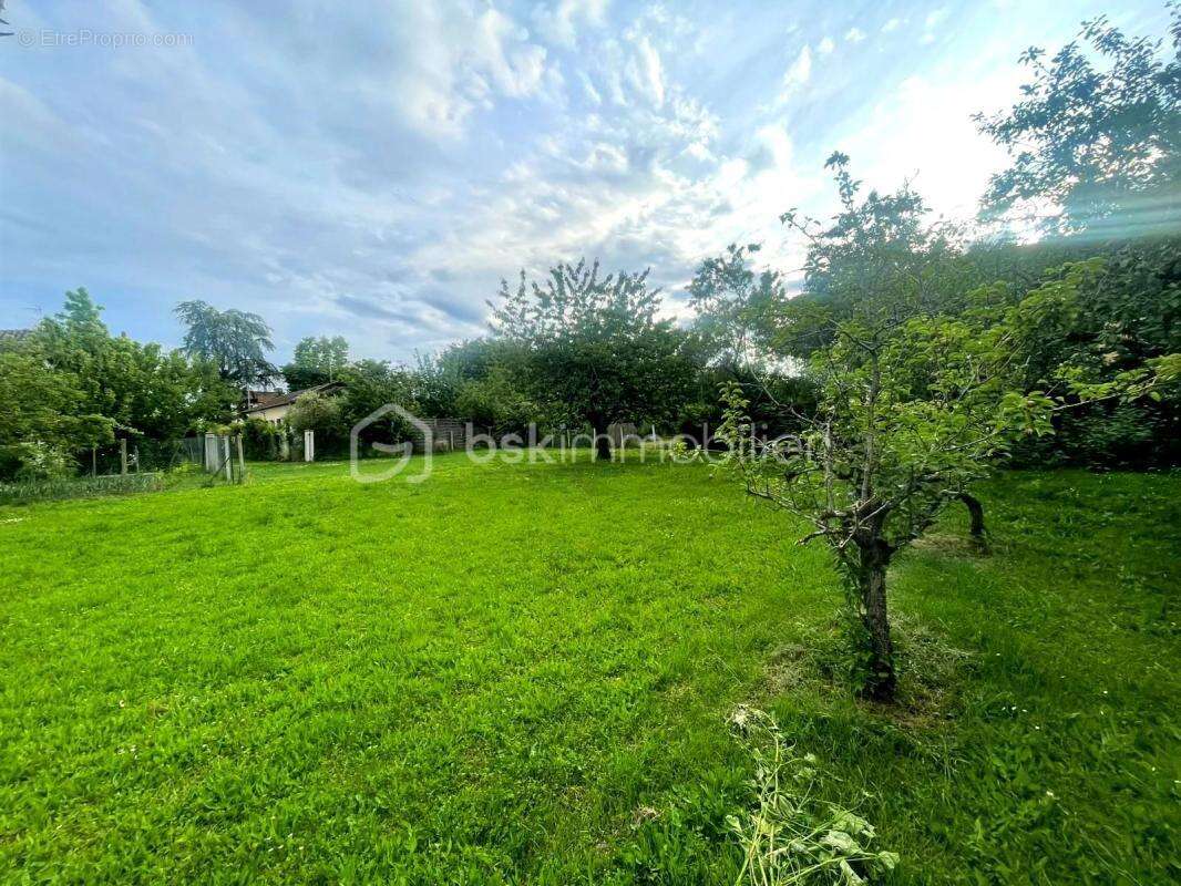 Terrain à vendre  887 m² à Blagnac - photo 12