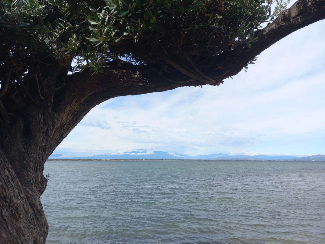 Appartement à LE BARCARES