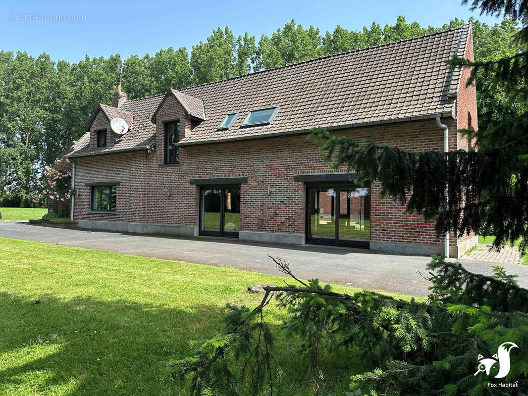 Maison à NIEPPE