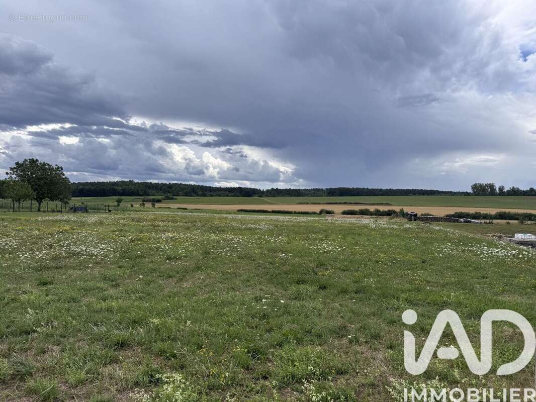 Photo 9 - Terrain à REHAINCOURT