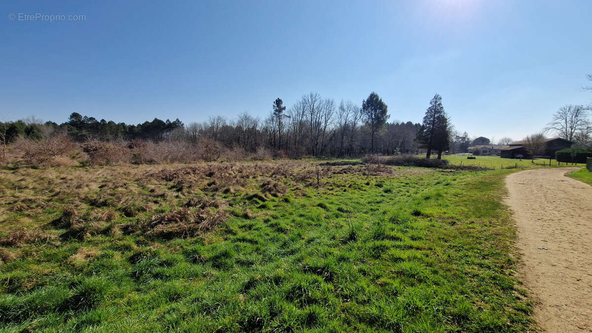 Terrain à SORE