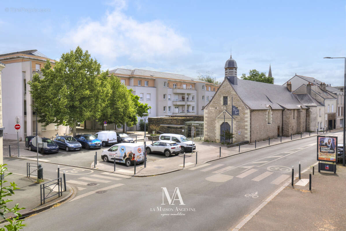 Angers bichon - photo 4