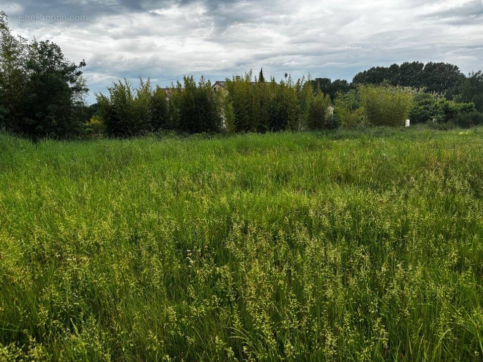Terrain à RUOMS