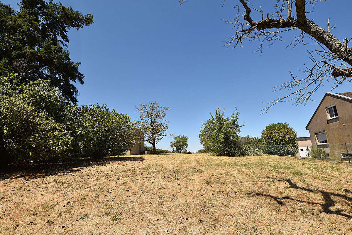 À proximité immédiate du centre du Donjon : - photo 6