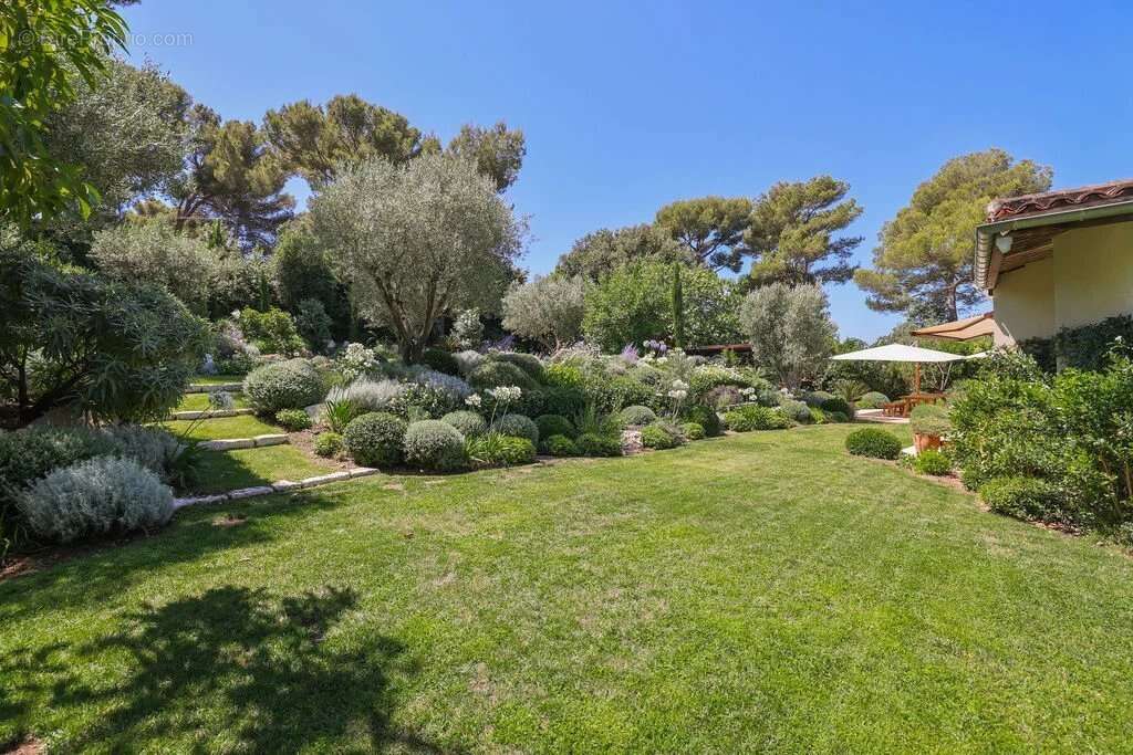 Le Cannet - Quartier résidentiel - Elégante villa de plain-pied avec jardin luxuriant , piscine. Calme absolu - photo 31