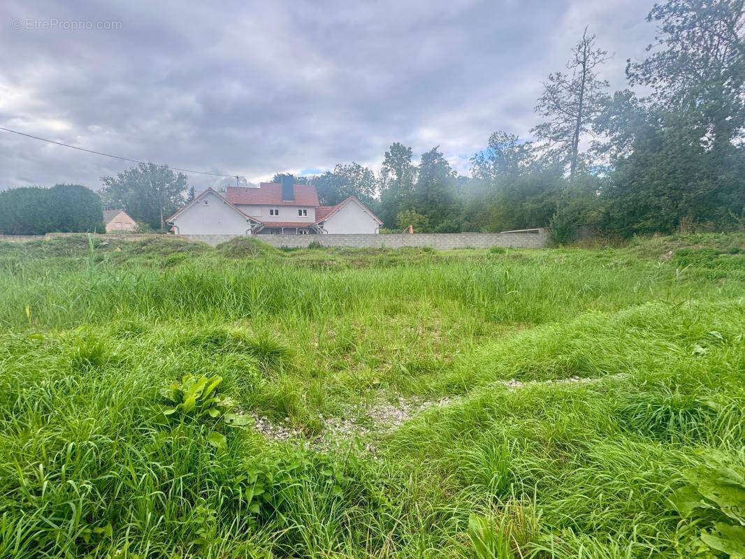 Terrain à KRAUTWILLER