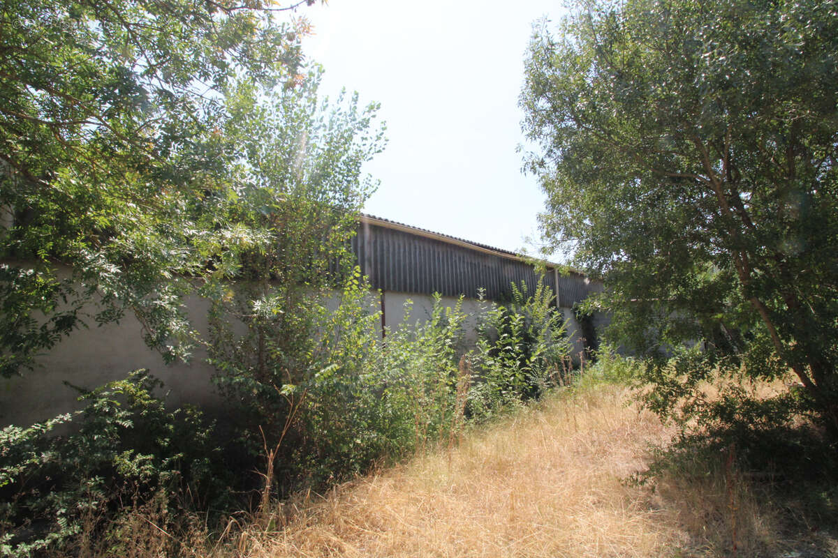 LOCAUX COMMERCIAUX DE 1750 M2 sur terrain de 3700 m2. - photo 6