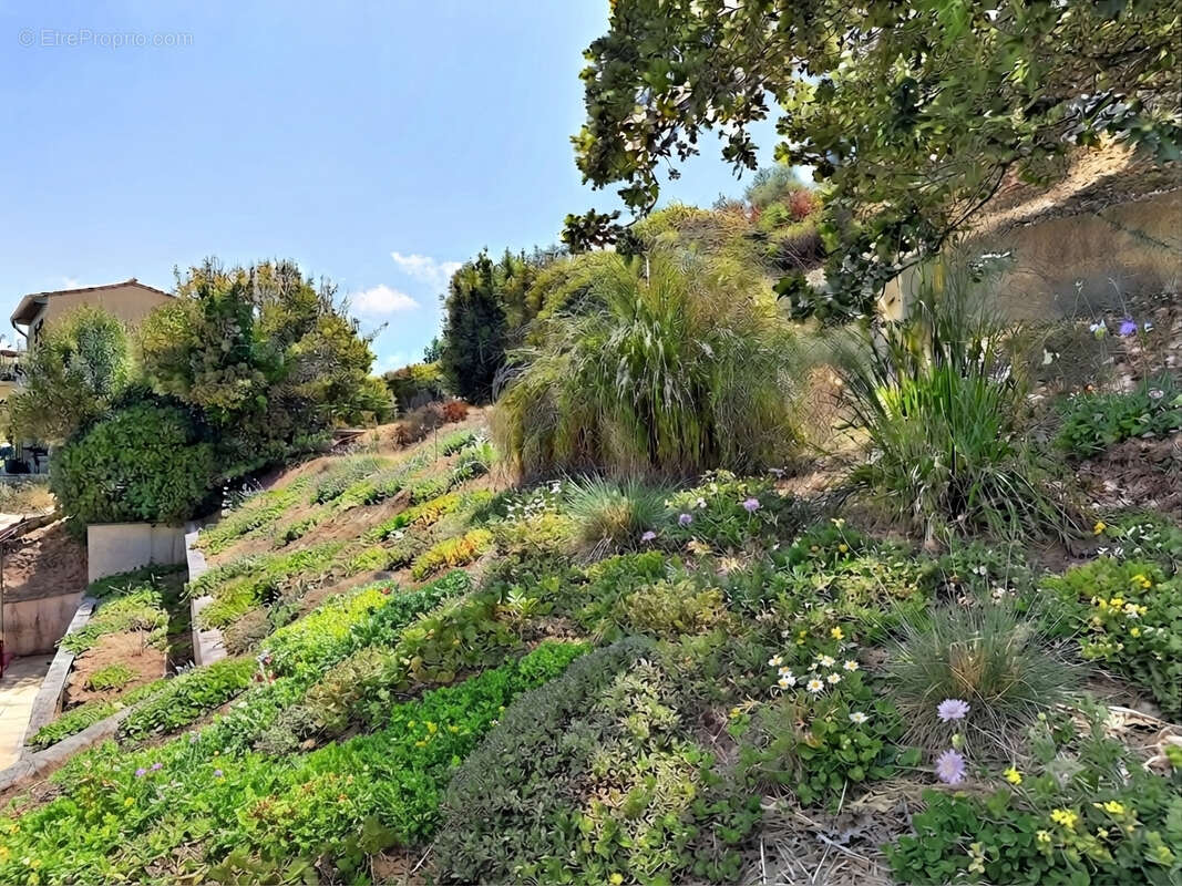 A vendre Villa Neuve à Mougins 5 pièces de 175 m² sur 1225 m² de terrain avec piscine - photo 17
