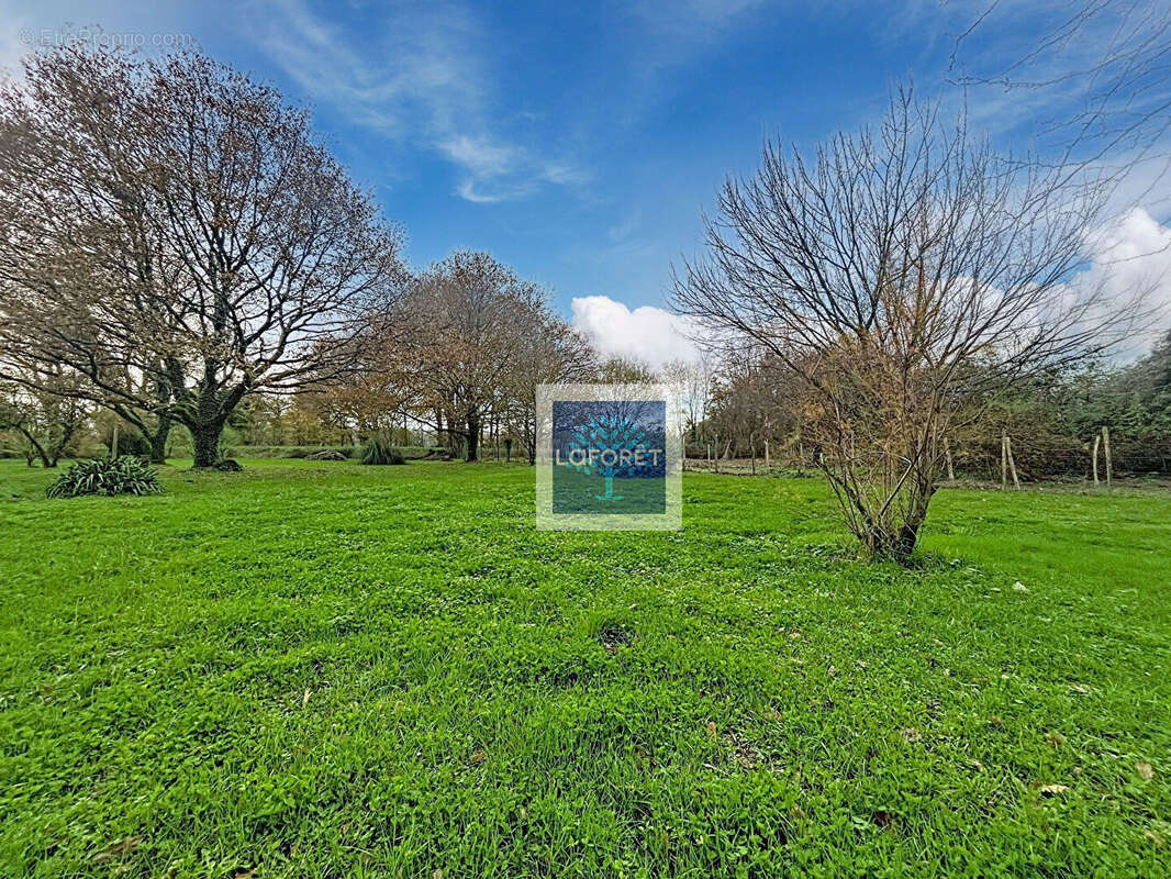 Maison à SAINT-AUBIN-DE-BLAYE