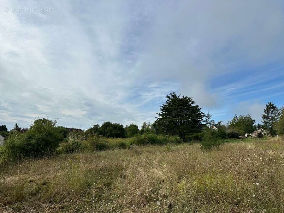 Terrain à CINQ-MARS-LA-PILE