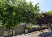 Terrain à BALLANCOURT-SUR-ESSONNE