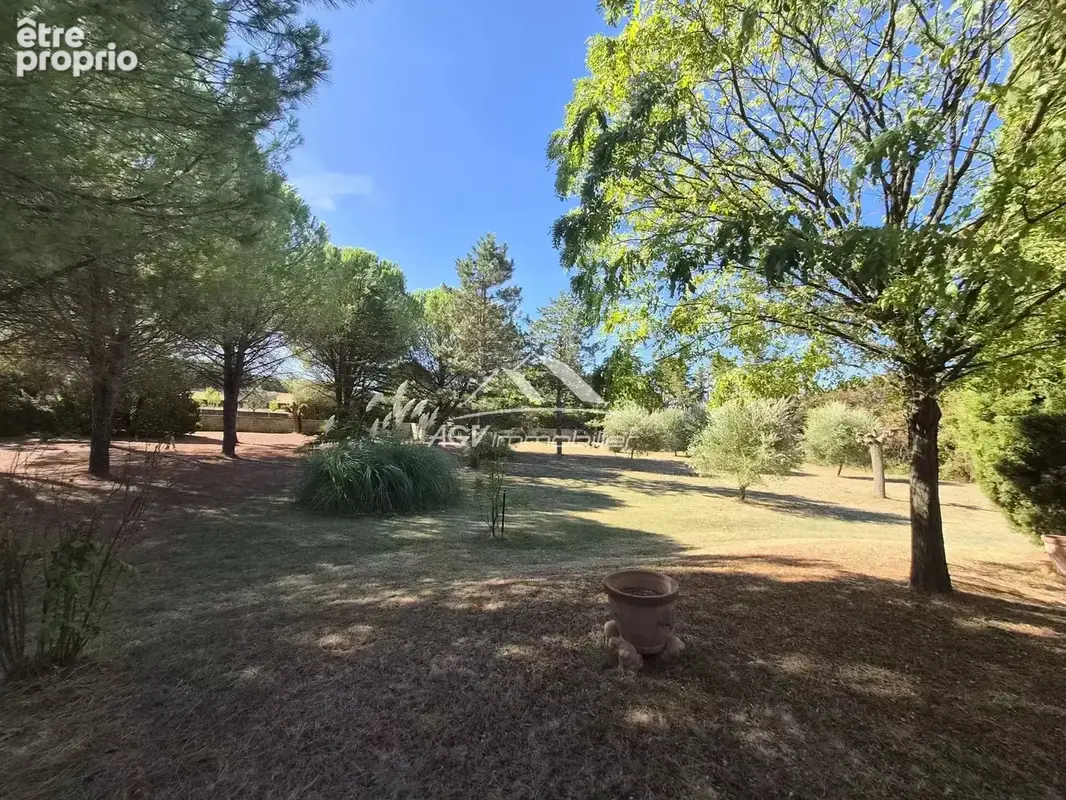 Maison trois chambres, avec piscine et 3884 m² de terrain - photo 15