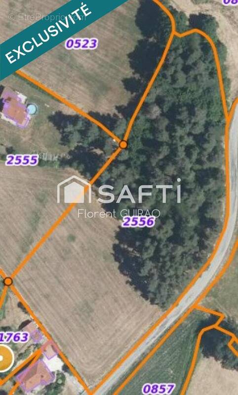 Photo 1 - Terrain à SAINT-PAL-DE-MONS