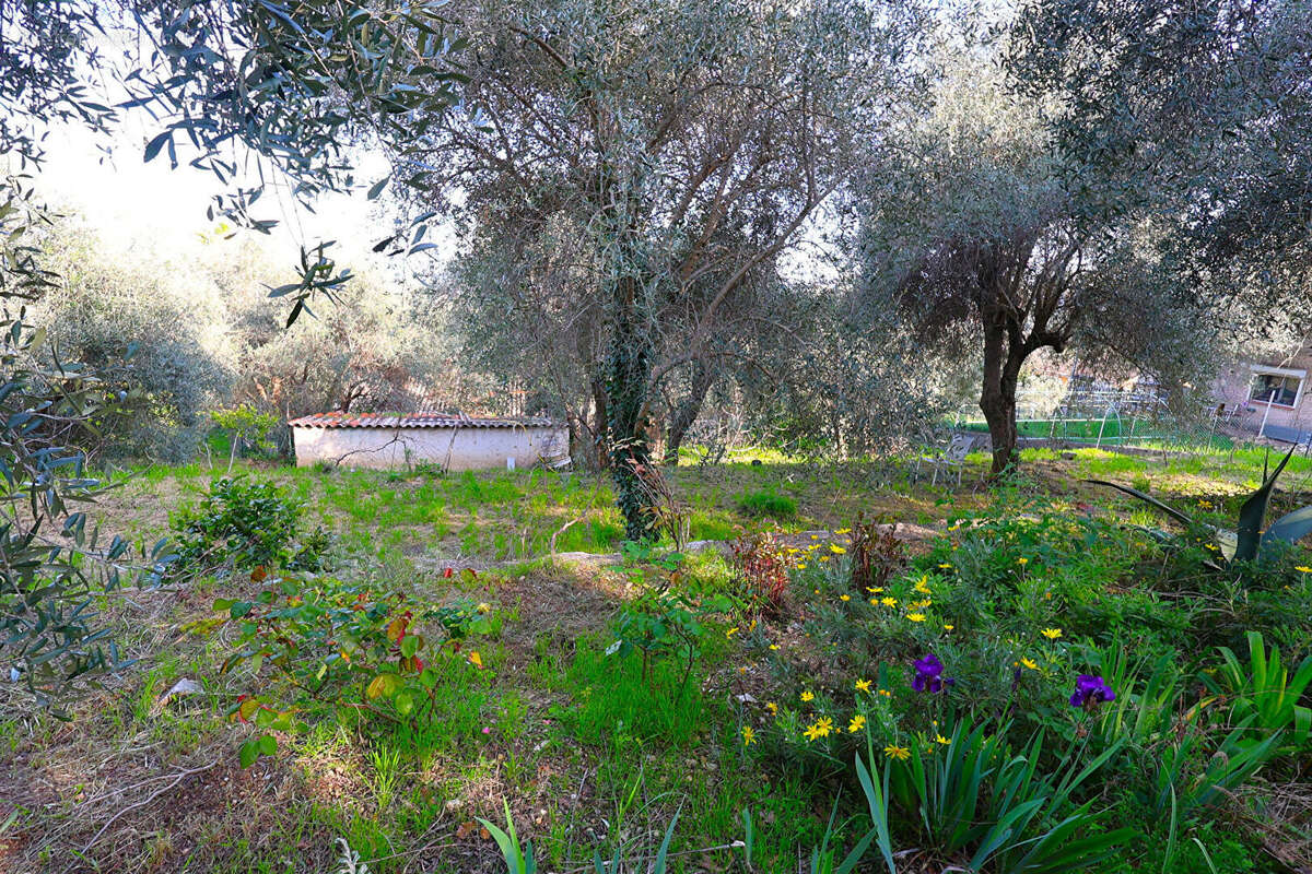 Terrain à SPERACEDES