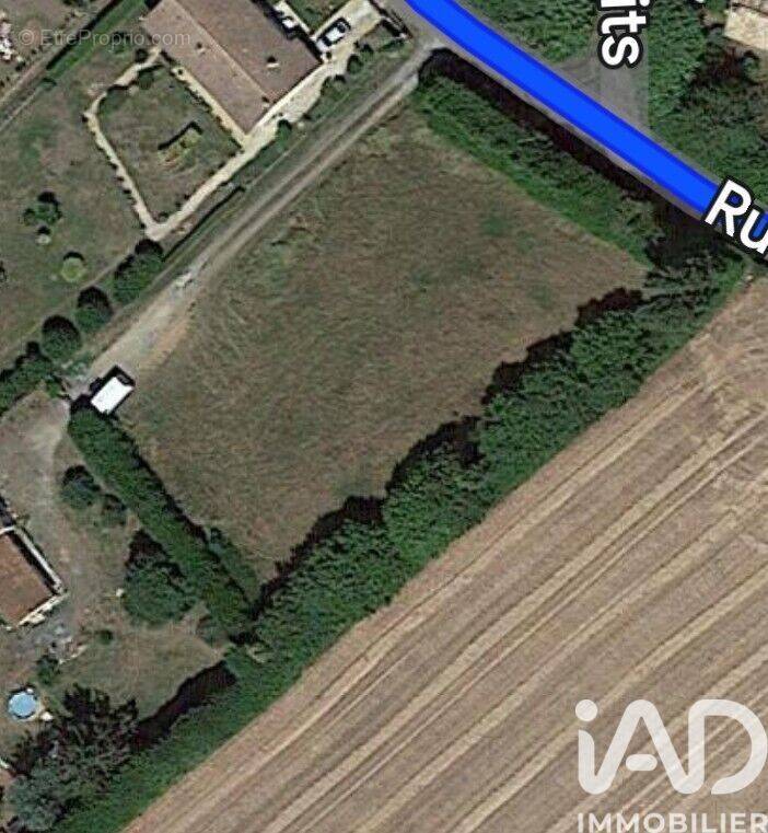 Photo 1 - Terrain à CHAIL