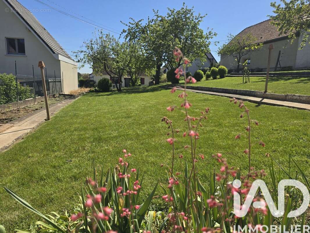 Photo 2 - Terrain à WALTENHEIM-SUR-ZORN