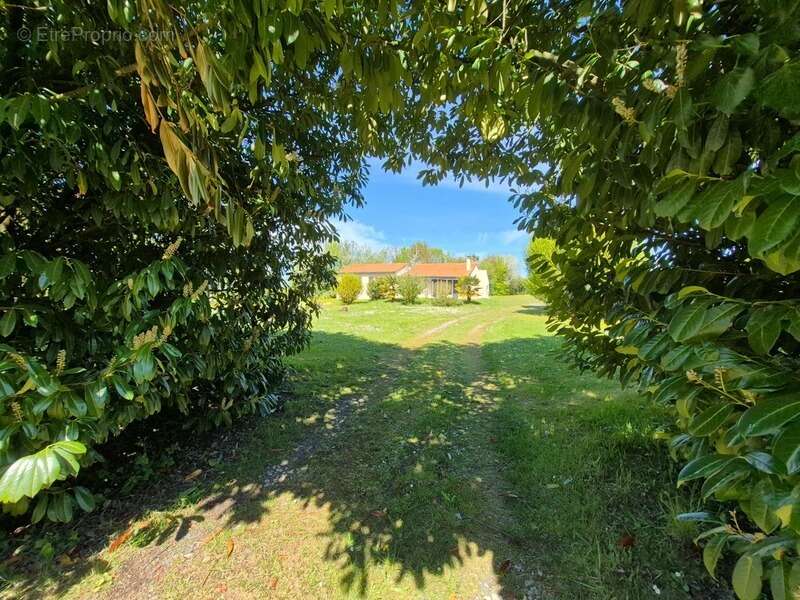 Maison à TONNAY-BOUTONNE