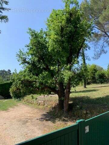 Terrain 2357 m² à Valbonne  - photo 2