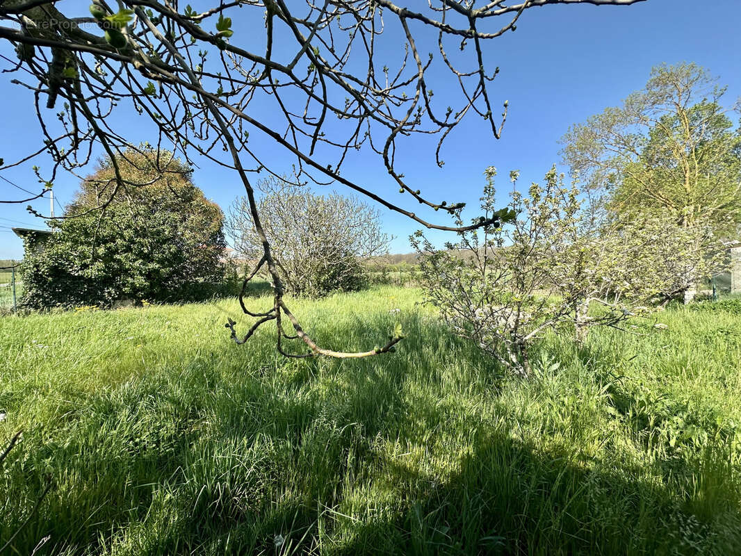Maison à PLAISANCE-DU-TOUCH